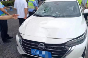 国产无马